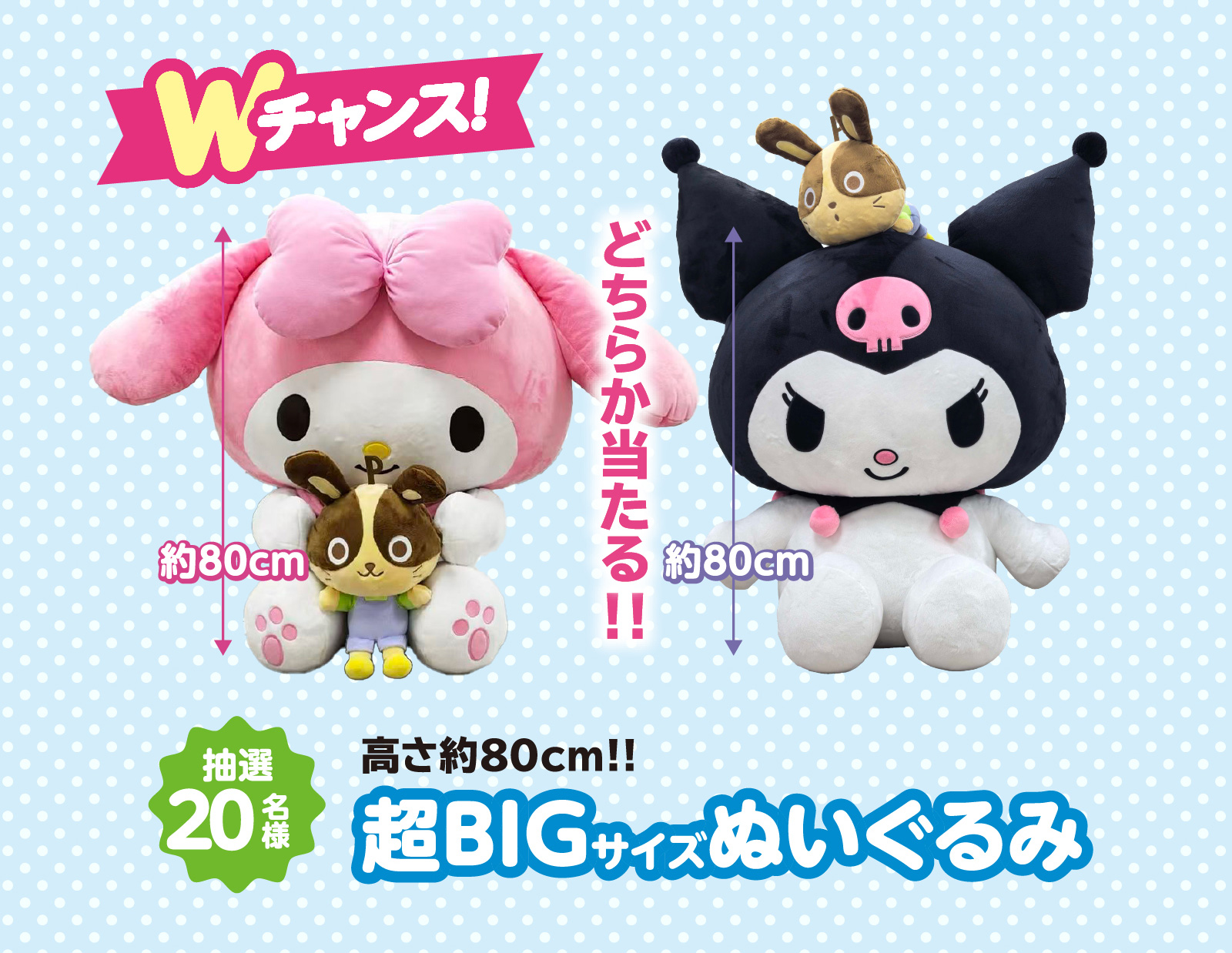 Wチャンス！～超BIGサイズぬいぐるみ【抽選20名様】